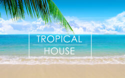 tropical house
