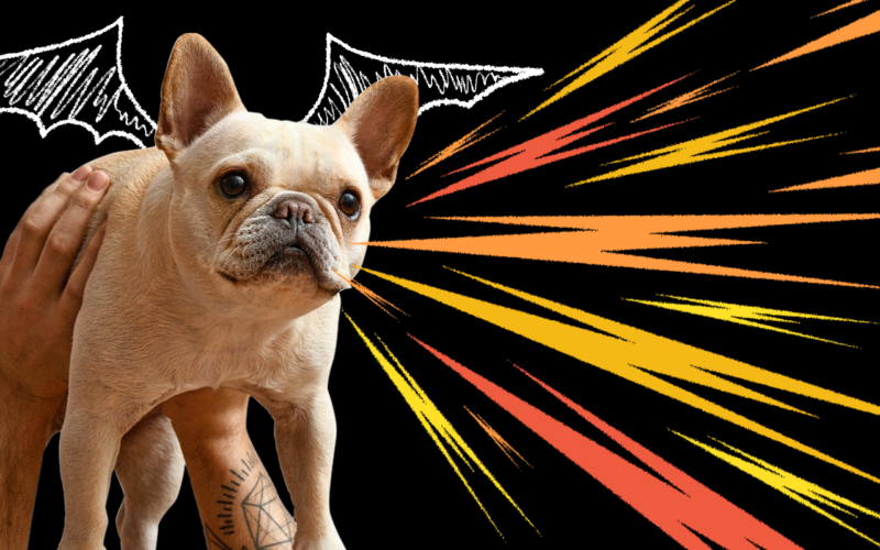 dragon-roar-dog-bark-featured-image