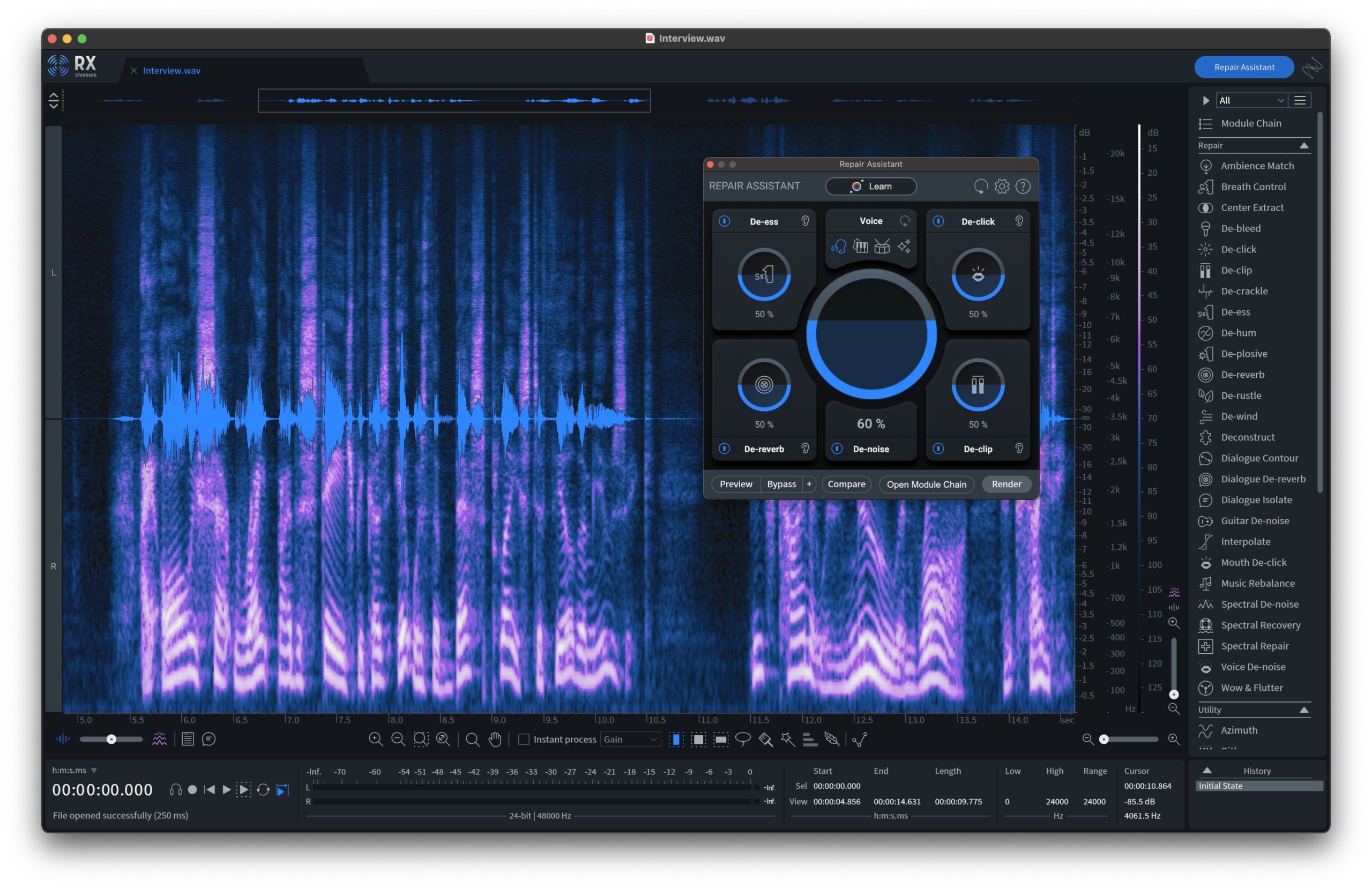 The time-frequency domain displayed in iZotope's RX 10.