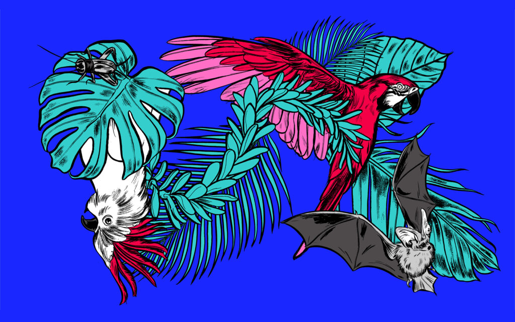 How do animals use sound and music? - Blog | Splice