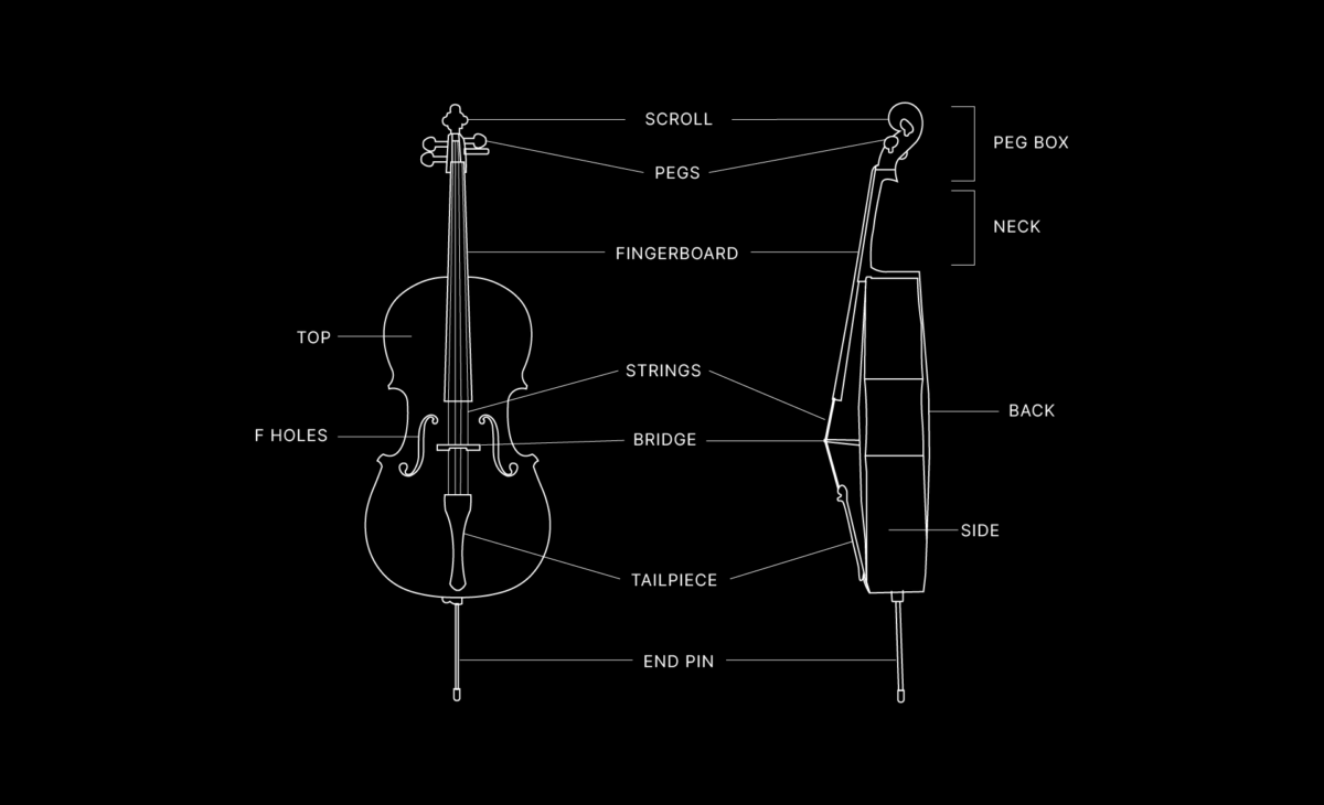 The cello Exploring its history, sound, and how it works Blog Splice
