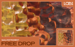 Get a free gong texture for Splice INSTRUMENT