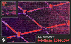 Get a free 808 instrument for Splice INSTRUMENT