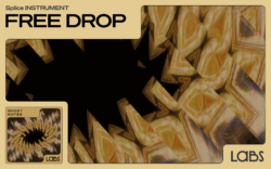 Get a free soft alto saxophone for Splice INSTRUMENT
